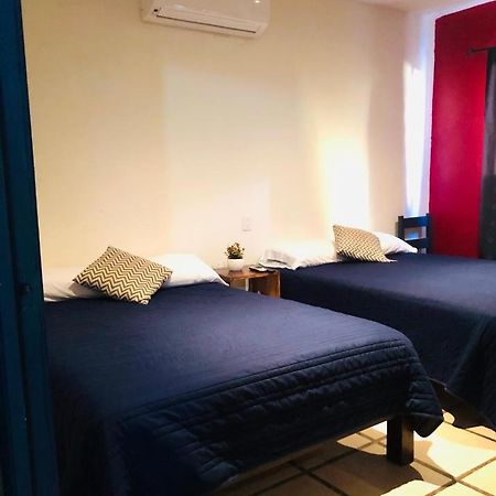 Posada " El Jardin" Ксилитла Екстериор снимка